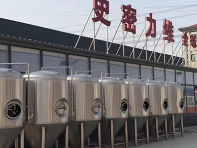 阿里精酿啤酒设备厂—市场规模与跨界新需求
